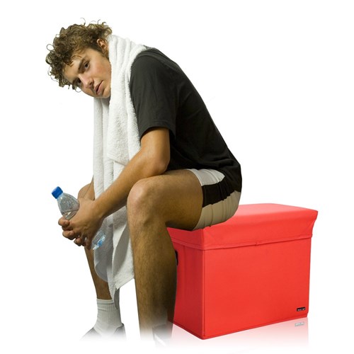 סיט פלוס - צידנית המשמשת גם ככיסא ישיבה