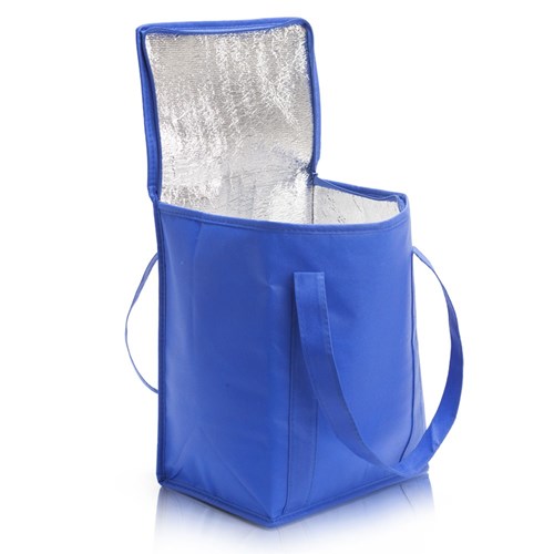 ברד - צידנית משפחתית המשמשת גם כתיק קניות עשויה אל בד