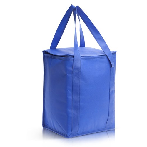 ברד - צידנית משפחתית המשמשת גם כתיק קניות עשויה אל בד