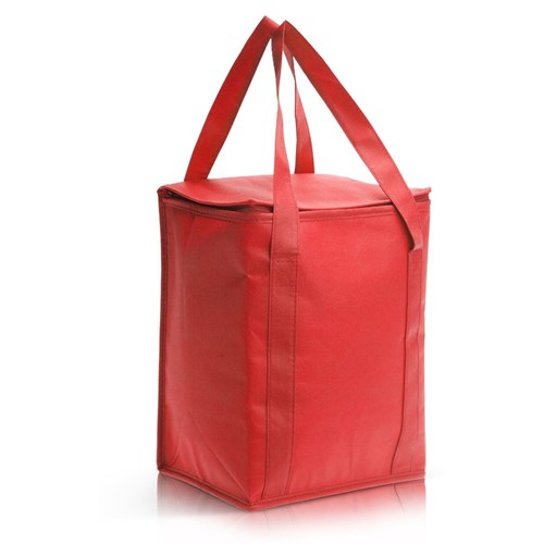 ברד - צידנית משפחתית המשמשת גם כתיק קניות עשויה אל בד