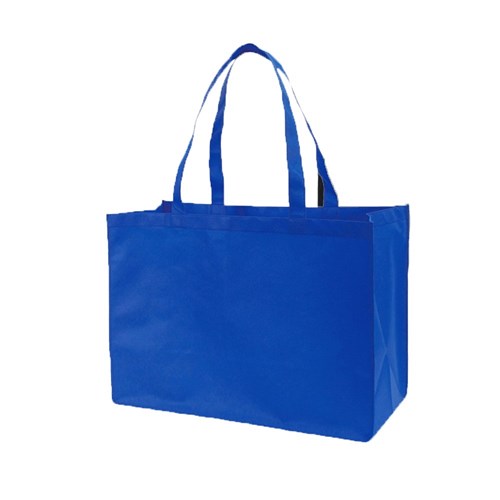 אקולוגי - תיק אל בד לקניות