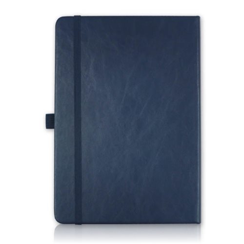 1656-Pointer-Notebook-logo-blue