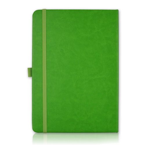 1656-Pointer-Notebook-logo-green
