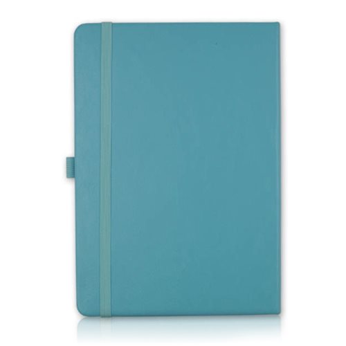 1656-Pointer-Notebook-logo-light-blue