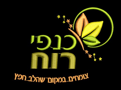 רקמה ממוחשבת לעסקים כנפי רוח