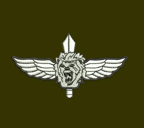 רקמה ממוחשבת נצח יהודה